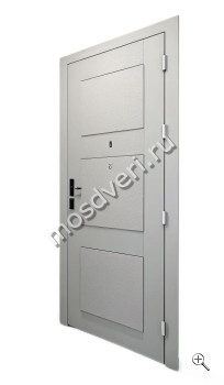 Тамбурная дверь ТАД-909 - купить от производителя Мосдвери Тамбурная дверь ТАД-909